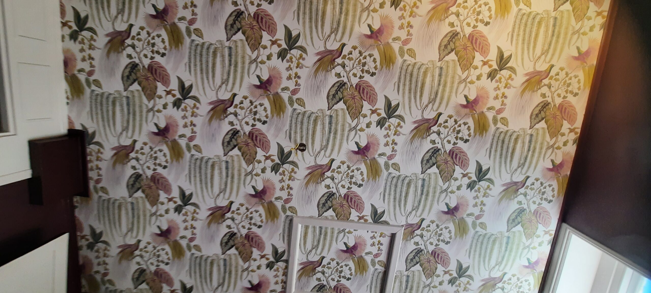 Expert Wallpaper Hangers in Rochester I W Martin